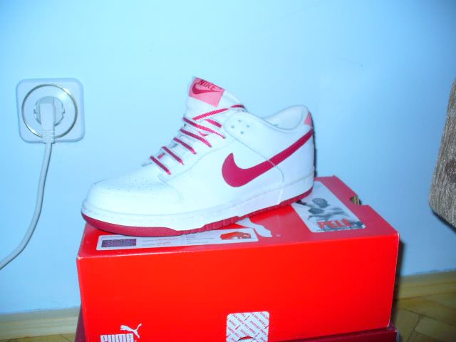 Adidasi Nike Dunk Mar 40   1 mil 600