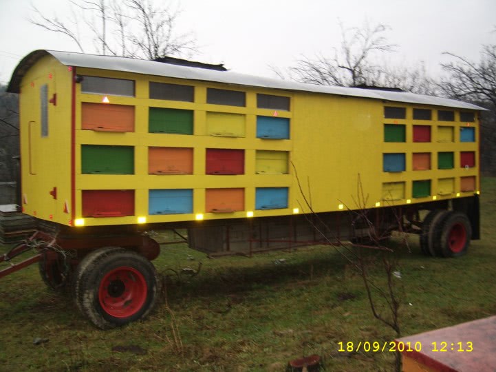 iveco daily cluj