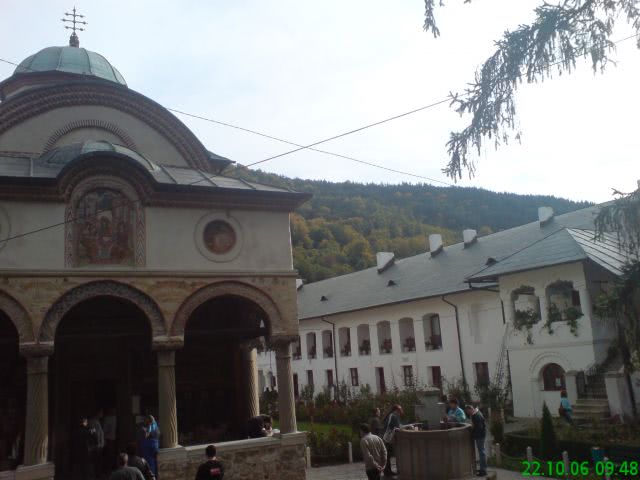 brintex brasov