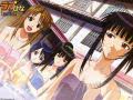 love hina s