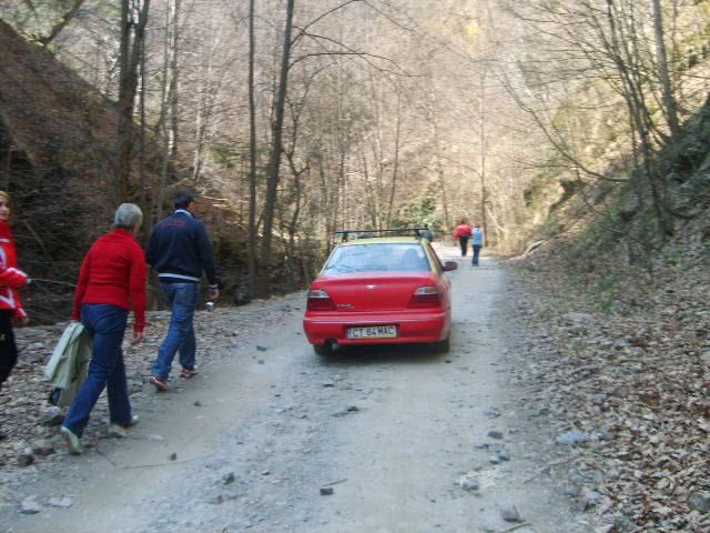 sighisoara massage