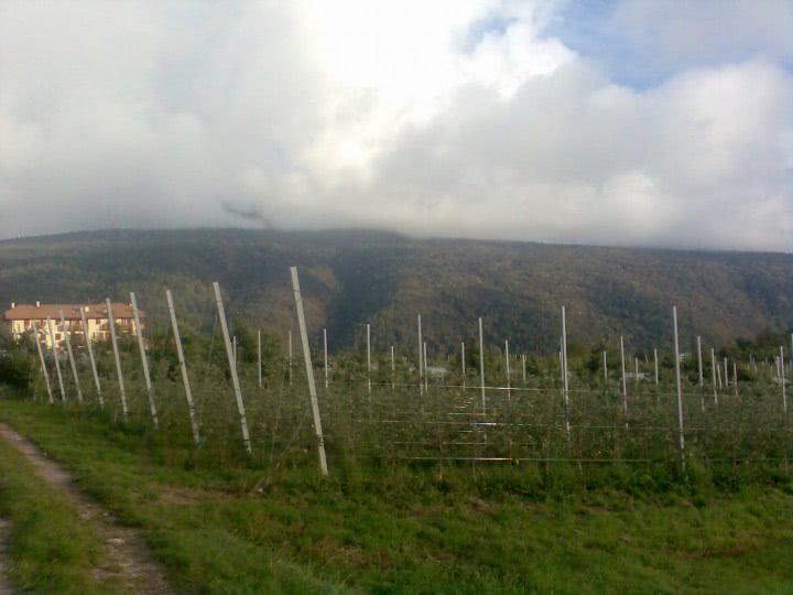 publi matrimoniale suceava