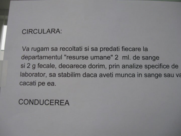 agenzia matrimoniale veneto